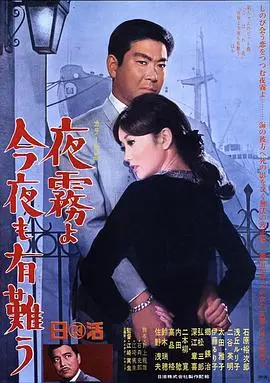 夜雾啊 今晚也要谢谢你:在迷雾中寻找温柔与希望