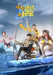 《小小追球的秘密》:萌娃追逐,探寻自然奇趣之旅
