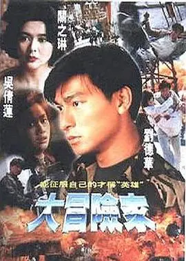 大冒险家 海报