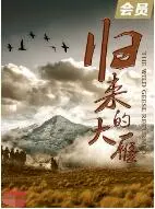 《归来的大雁》影评：故乡的温暖与人性的救赎，治愈心灵的田园诗