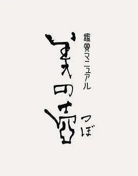 《美之壶》：NHK经典美学纪录片，带你领略隐藏在日常中的惊艳之美