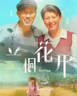 《兰桐花开》：一部关于青春、成长与自我救赎的细腻画卷，致那些年我们共同的迷茫与渴望